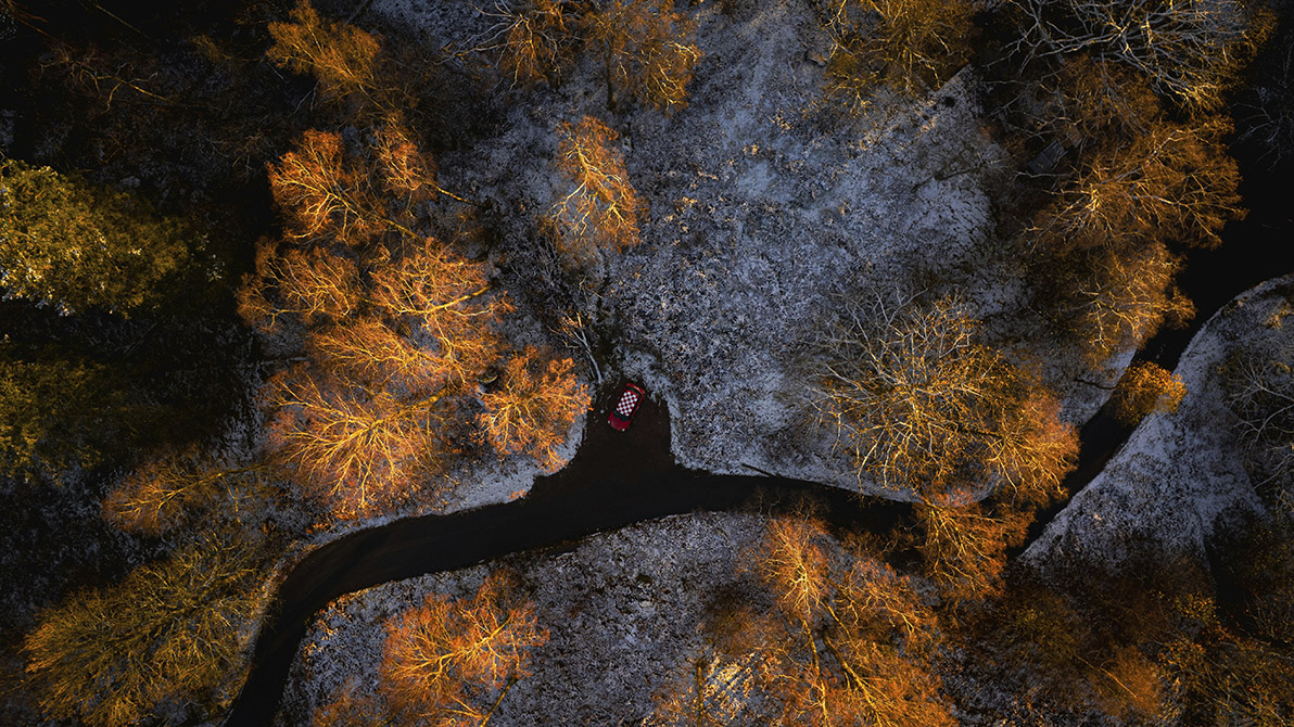 Автомобиль в лесу на развилке